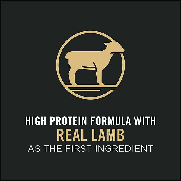 ProPlan Small Bites Lamb/Rice 37.5lbs