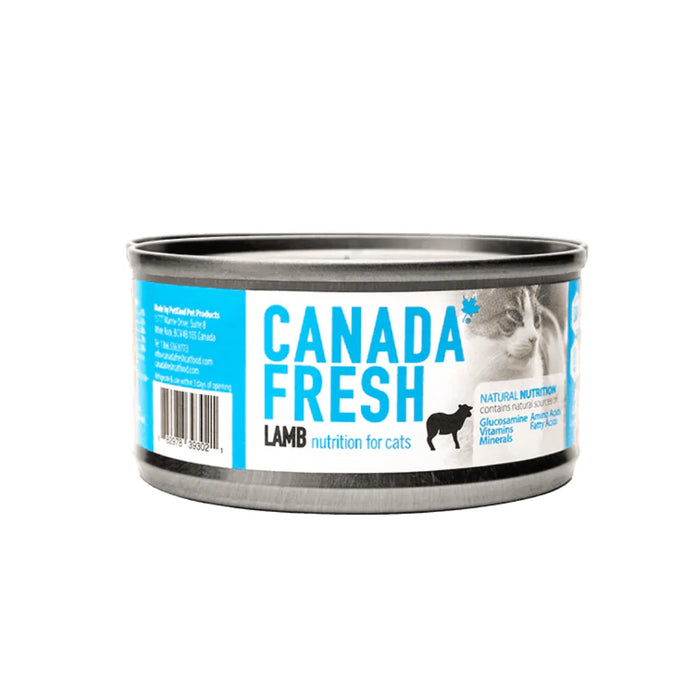 CF Canned Cat Food SAP Lamb 5.5oz
