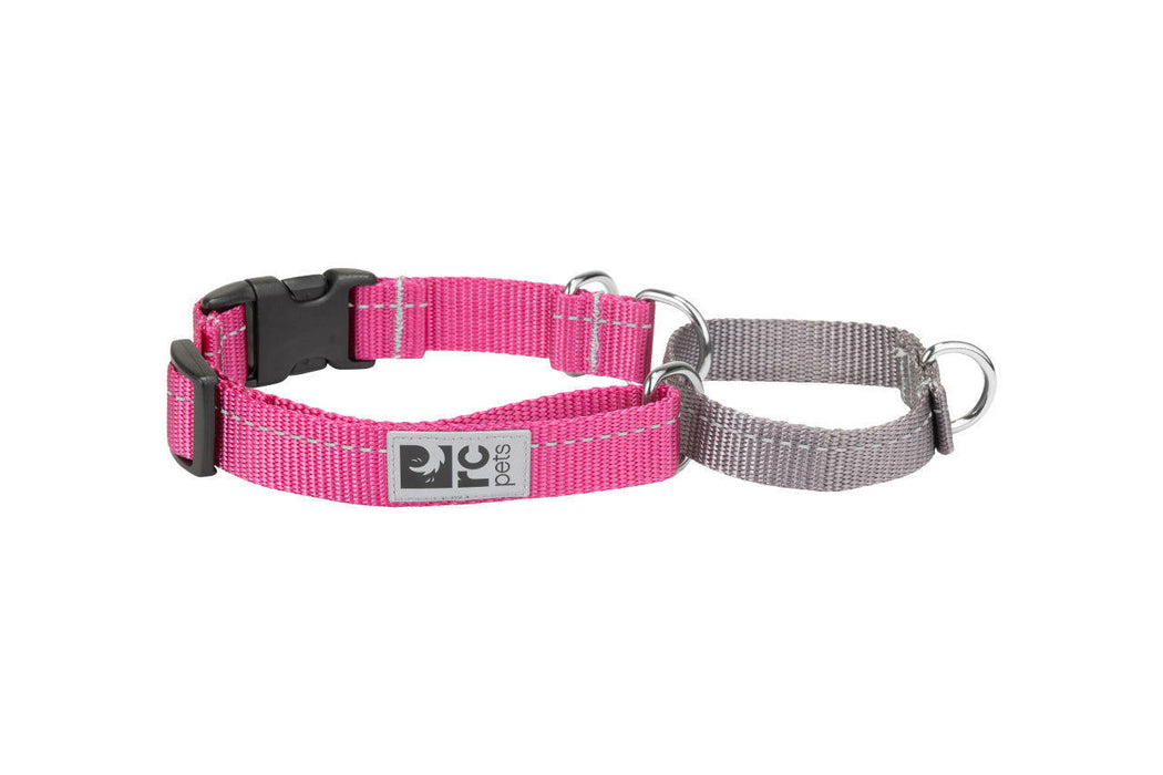 Web Training Clip Collar Primary Mulberry Sml