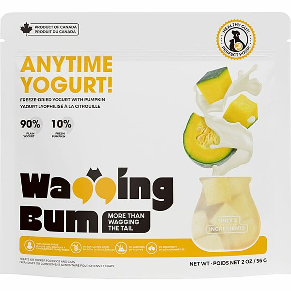 WB FD Anytime Yogurt! With Pumpkin 2oz