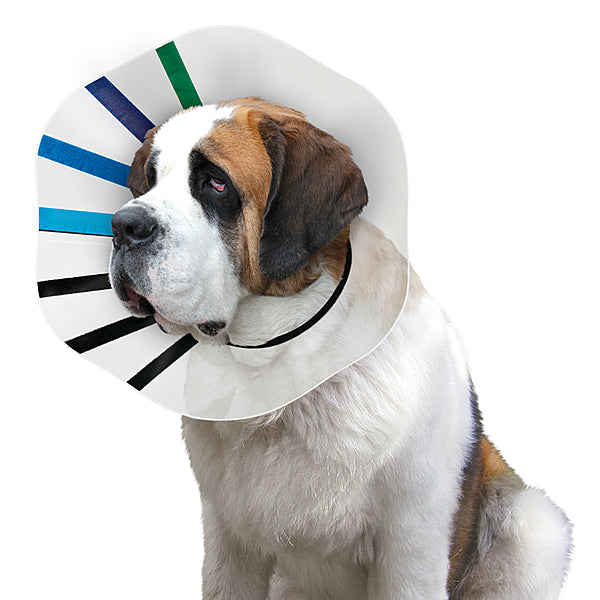 Ez-Clear Collar Size 16-21"  XXLarge