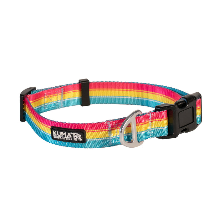 KM Backtrack Dog Collar Lrg Lollipop Yellow/Pink/Teal