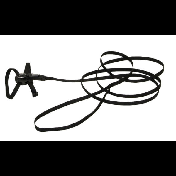 Lil Pals Harness & Leashes for Kittens Black