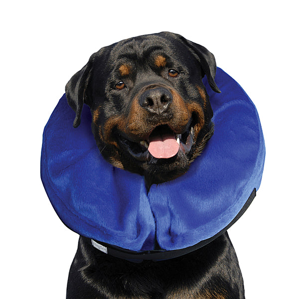 KONG Cloud Collar XLarge