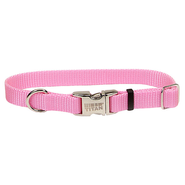 Titan Collar Metal Buckle Pink 14"x 5/8 Sml