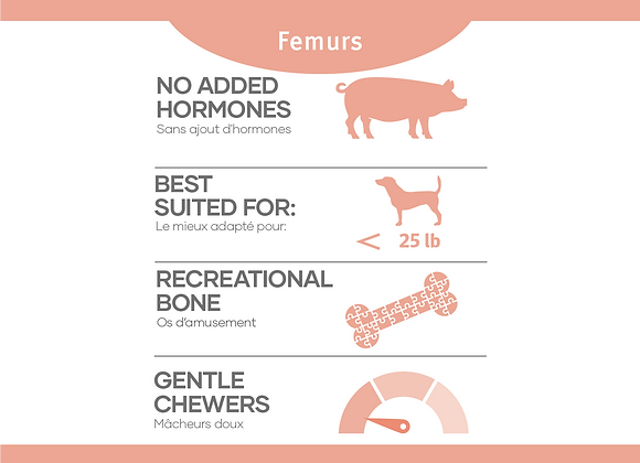 RDBK Raw Bones Pork Femurs 2pk