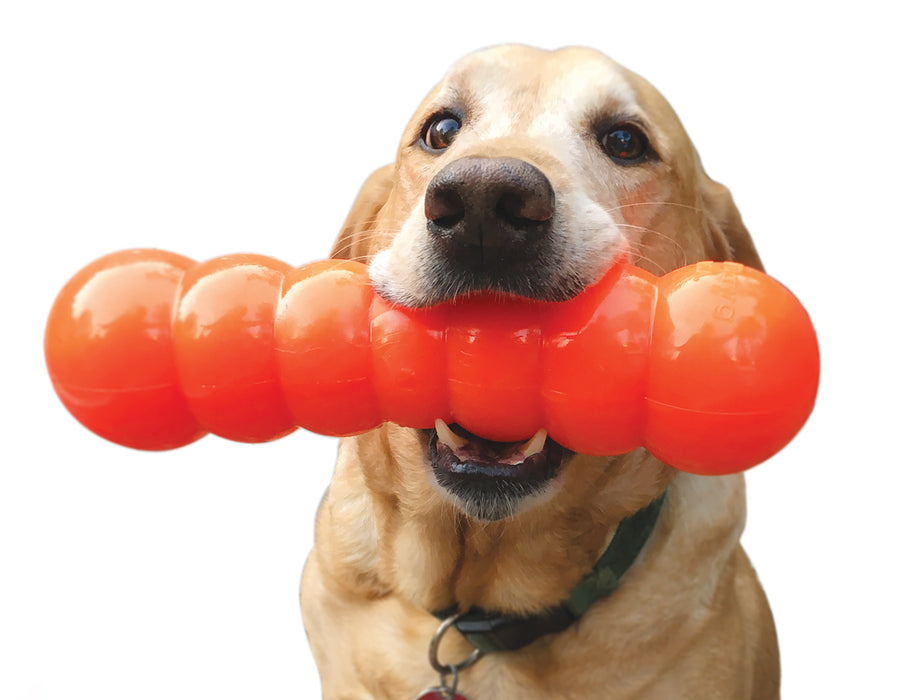 Ruff Dawg,Dawg Buster XLrg