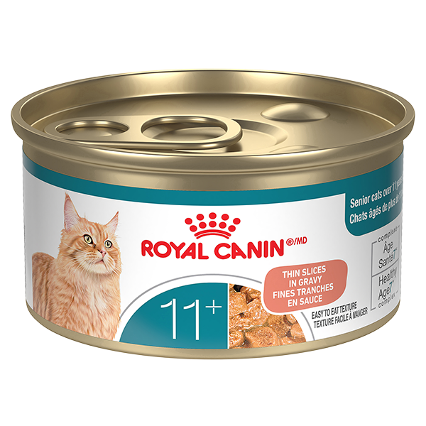 RC FHN Instinctive Adult Thin Slices in Gravy 85g