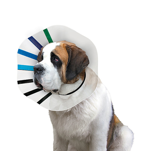 Ez-Clear Collar Size 13-16"