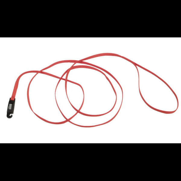 Lil Pals Nylon Lead Red 6'x5/16"