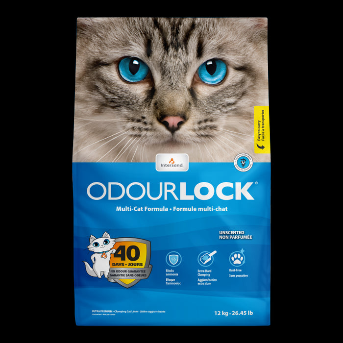 Intersand Cat Litter OdourLock Unscented 12 kg