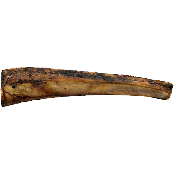 ASADO Beef Rib Bone 12"
