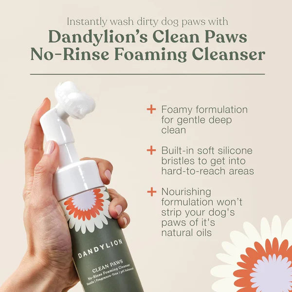 Dandylion Clean Paws No-Rinse Foaming Cleanser