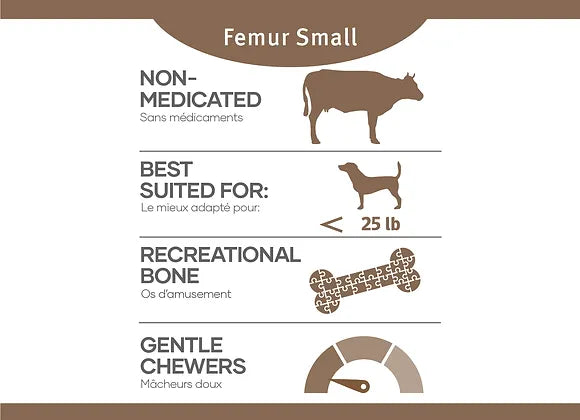 RDBK Dog Raw Bones Beef Femur Sml