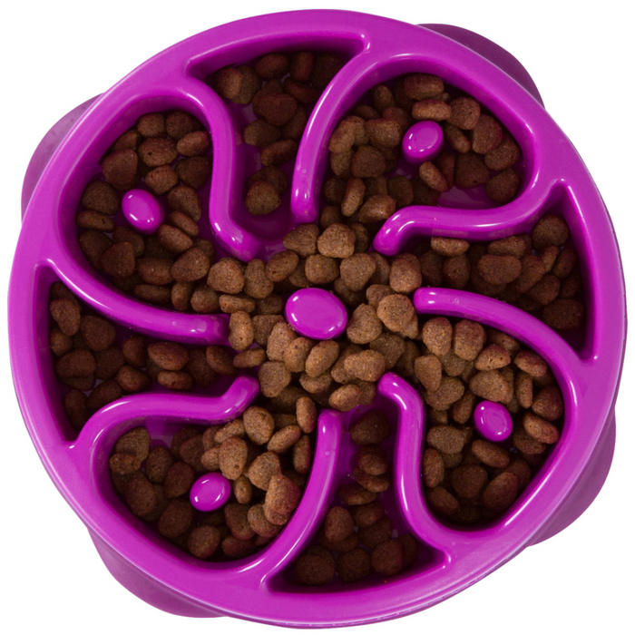 OH Fun Feeder Flower Purple Medium