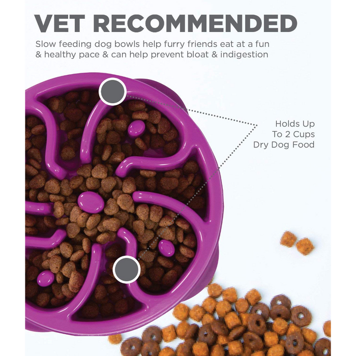 OH Fun Feeder Flower Purple Medium