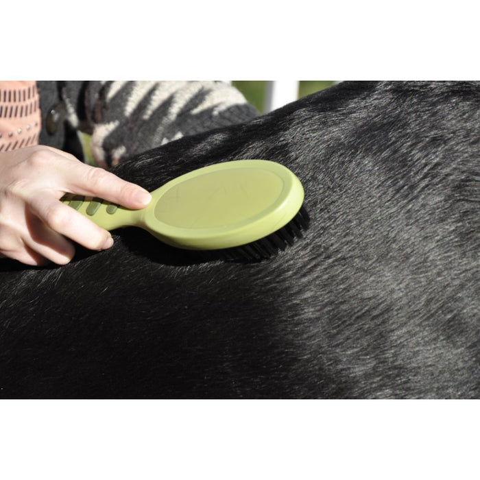 Safari Bristle Brush Small