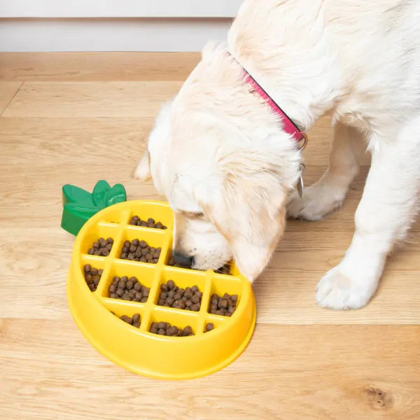 ZippyPaws Happy Bowl Slow Feeder Pineapple
