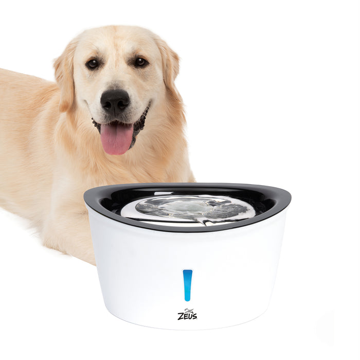 Zeus Cascading SS Top Drinking Fountain Dog 6L