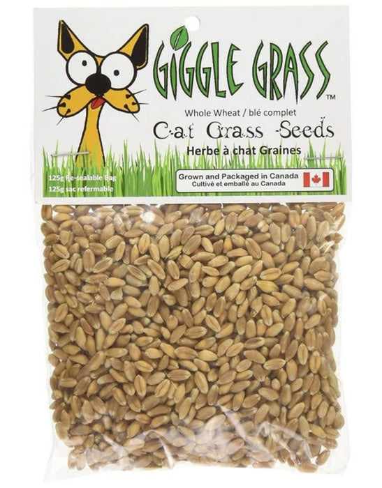 Giggle Grass Oat Seeds 125gm