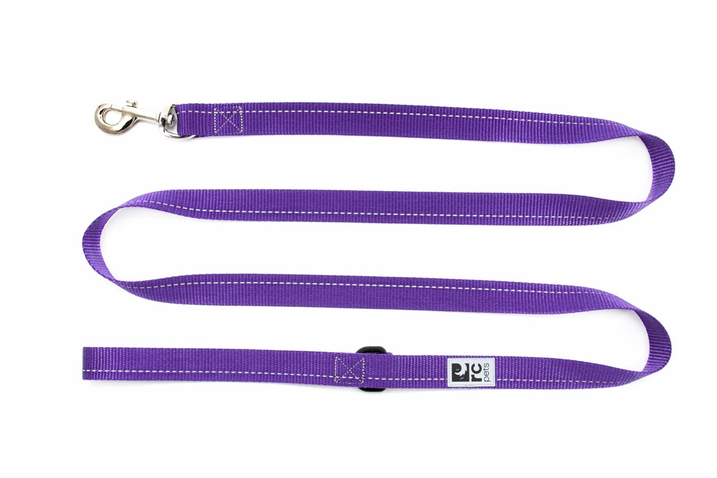 RC Pets Primary Dog Leash 6FT- Purple