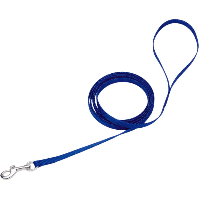 Coastal Nylon Lead Blue 6'x3/8"