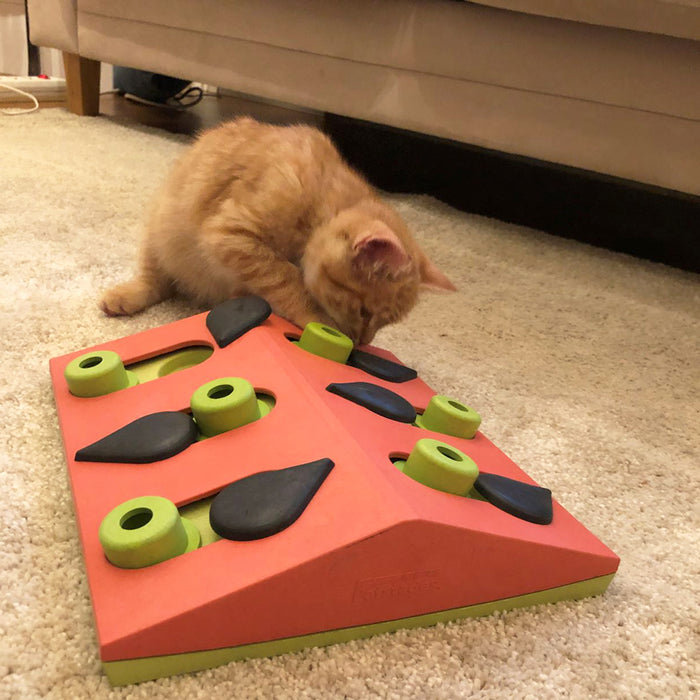 Nina Ottosson Melon Madness Cat Puzzle & Treat Center