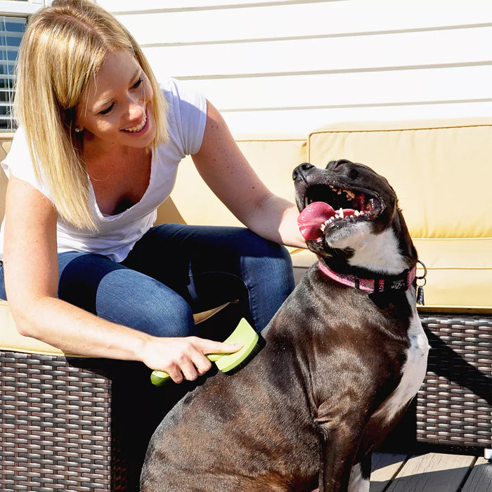 Safari Curved Firm Slicker for Lrg Dogs