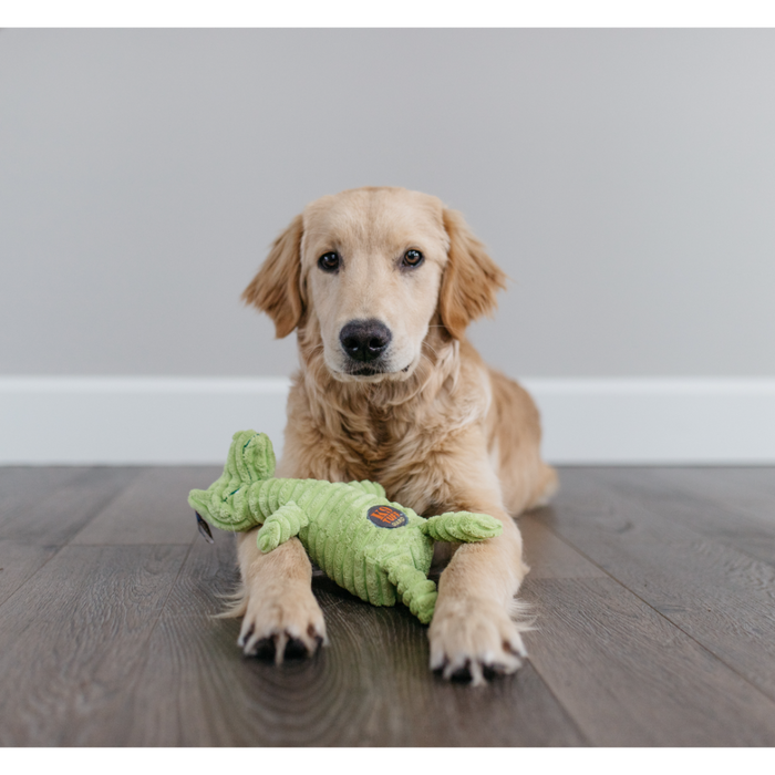 Squeakin Squiggles Gator 10.5"