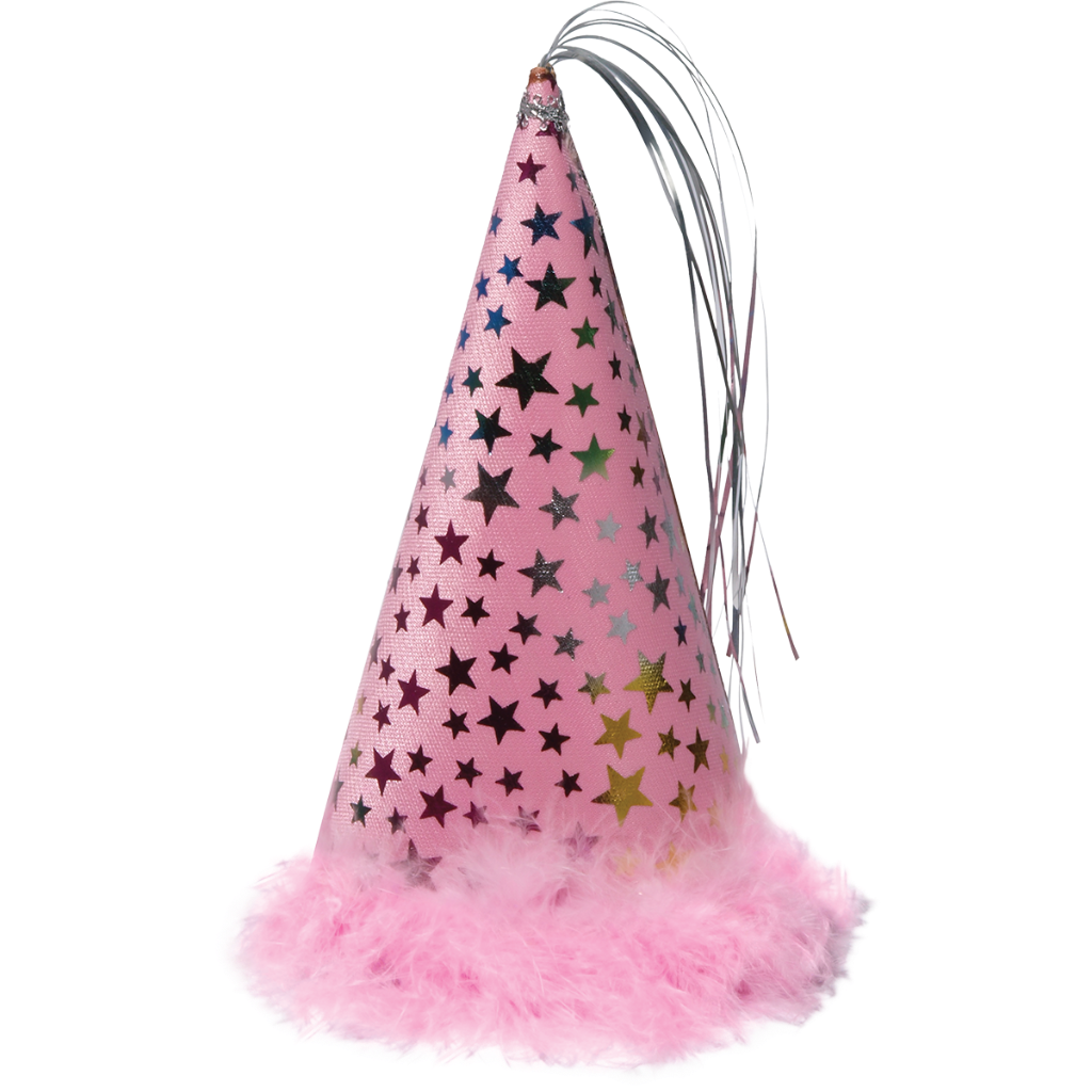 Party Hat Pink Small