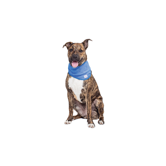 Go Fresh Pet Ice Bandana SM/MD