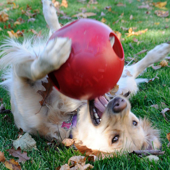 Jolly Teaser Two-In-One Ball Blue 10"