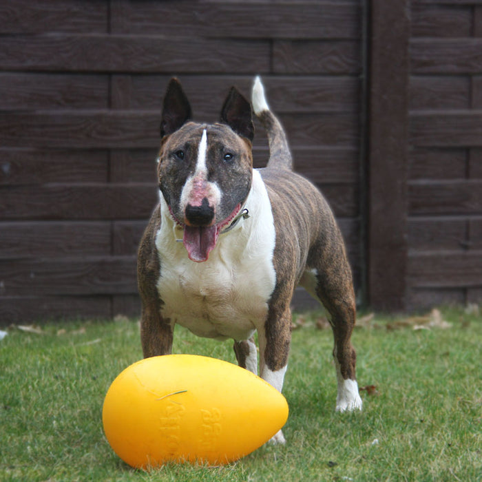 Jolly Egg Yellow 8" | Hard Plastic