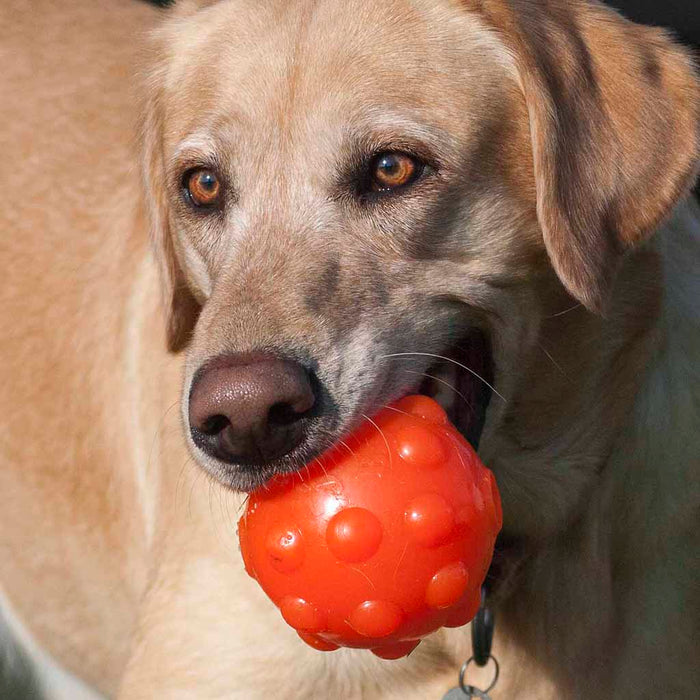 Jolly Jumper Ball Glow 4" | Float