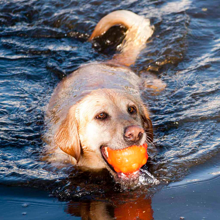 Jolly Jumper Ball Glow 4" | Float