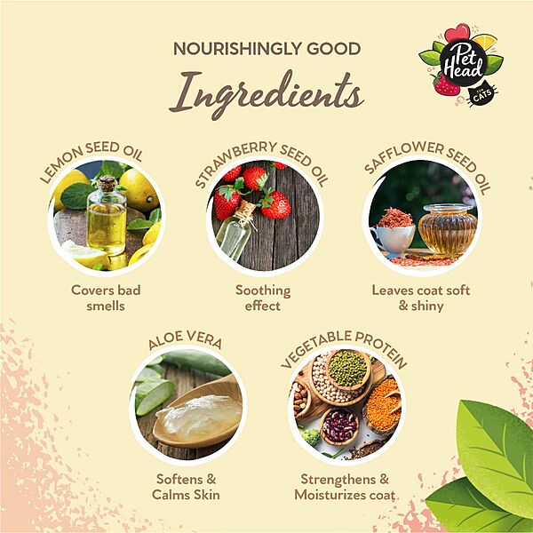 Pet Head NR Foam Lemon Berry 200ml