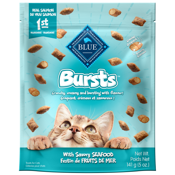 Blue Bursts Savory Salmon Cat Treats 5oz