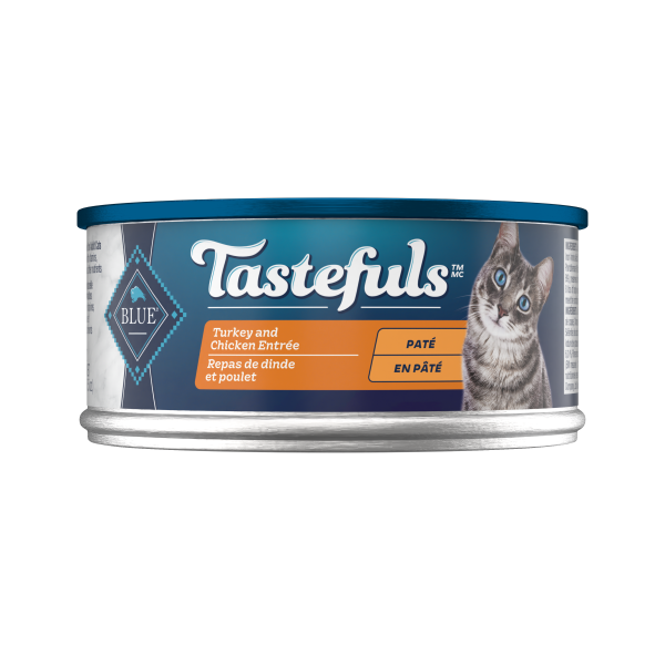 BB Adult Cat Turkey & Chicken Entrée Pate 5.5oz