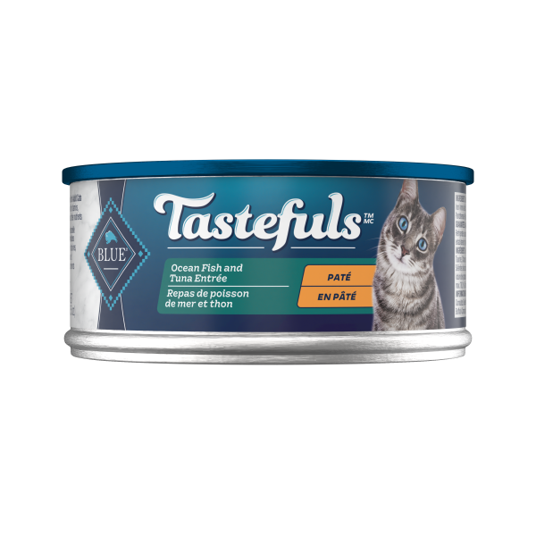 BB Adult Cat Ocean Fish/Tuna Entrée Pate 5.5oz