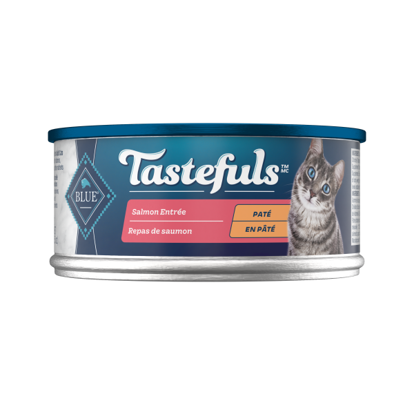 BB Adult Cat Salmon Entrée Pate 5.5oz