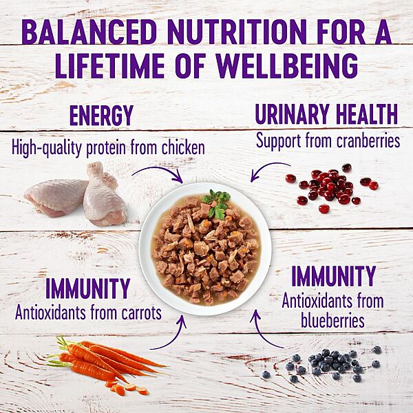 Wellness Morsels Chkn/Trky 3oz