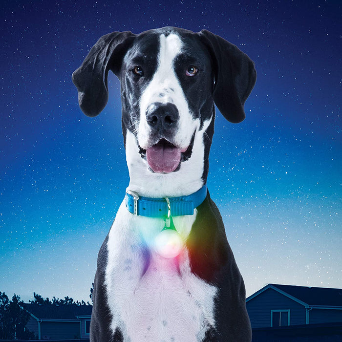 SpotLit XL Rechargeable Collar Light Disco