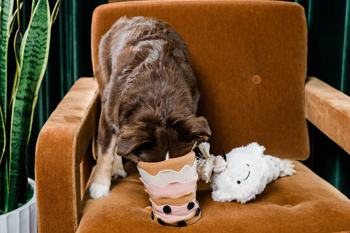 Injoya Snuffle Toy Bobatime