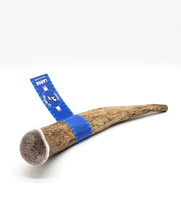 EZ Large Full Antler