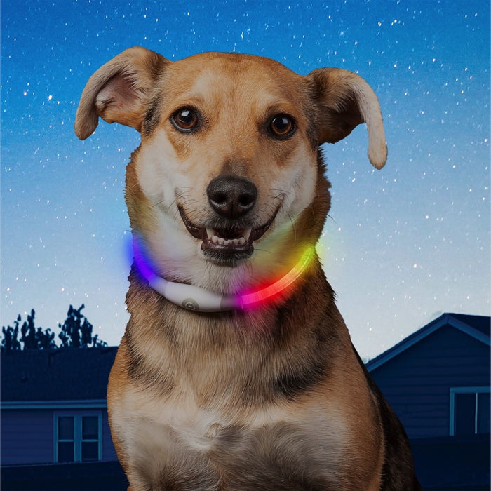 NiteHowl MINI LED Safety Necklace Disco