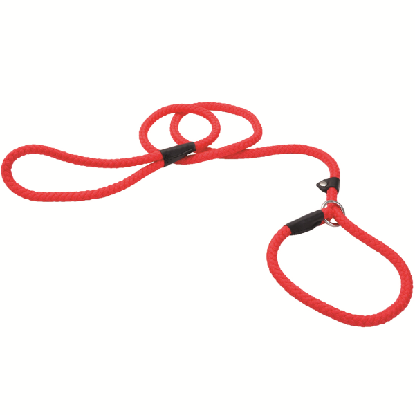 Coastal Slip Rope Leash 6' Red