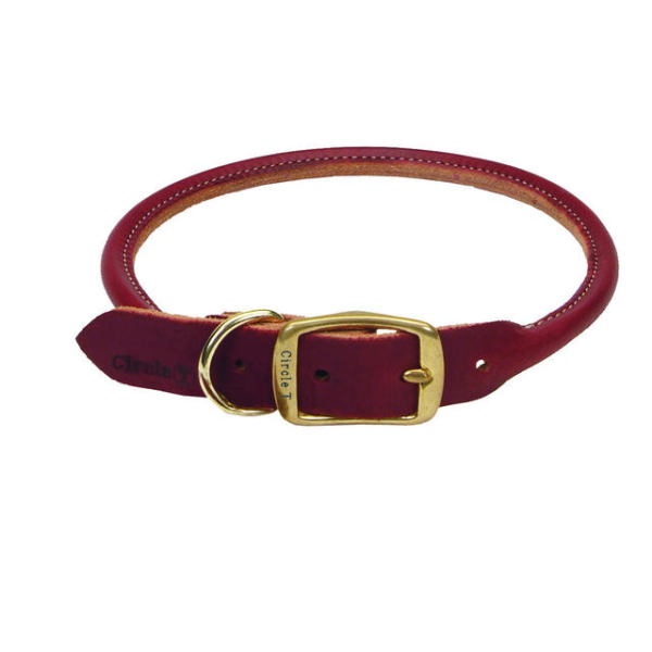 Latigo Leather Round Collar w/Brass 20x3/4"