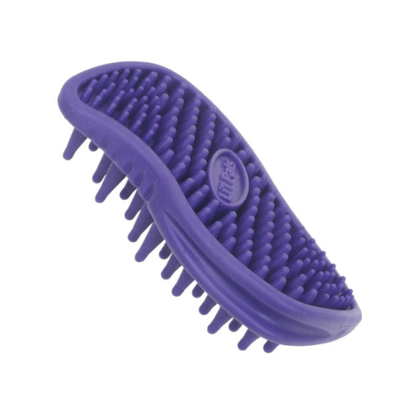 Lil Pals Kitten Curry Brush