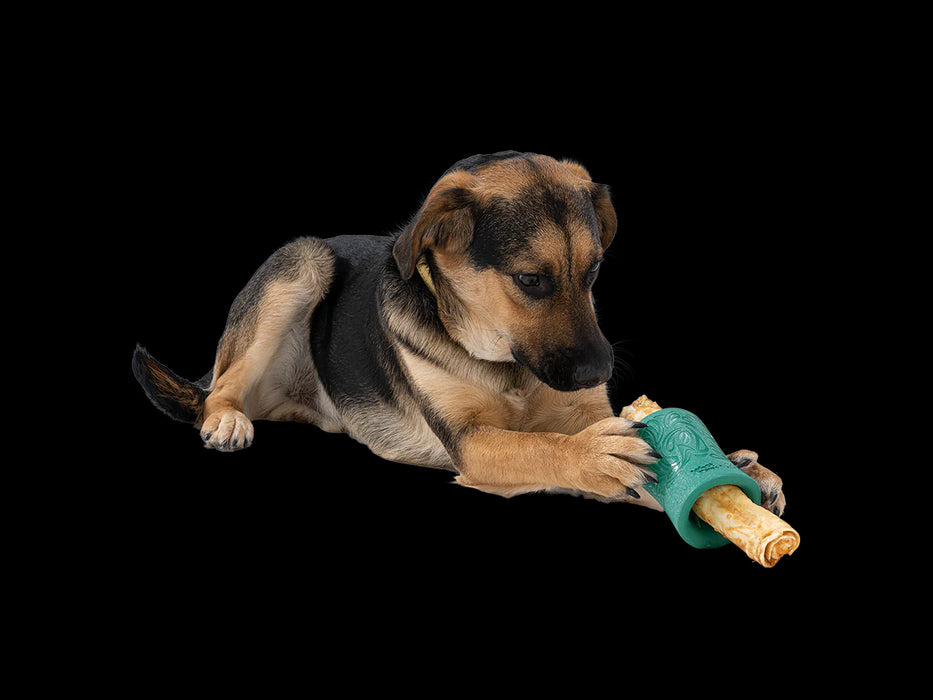 WPaw Funnl Treat Toy Lrg 4" Grn