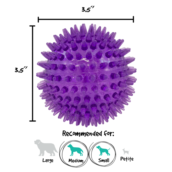 Royal Pet Gnawesome Ball 3.5" Squeaks & Lights Up